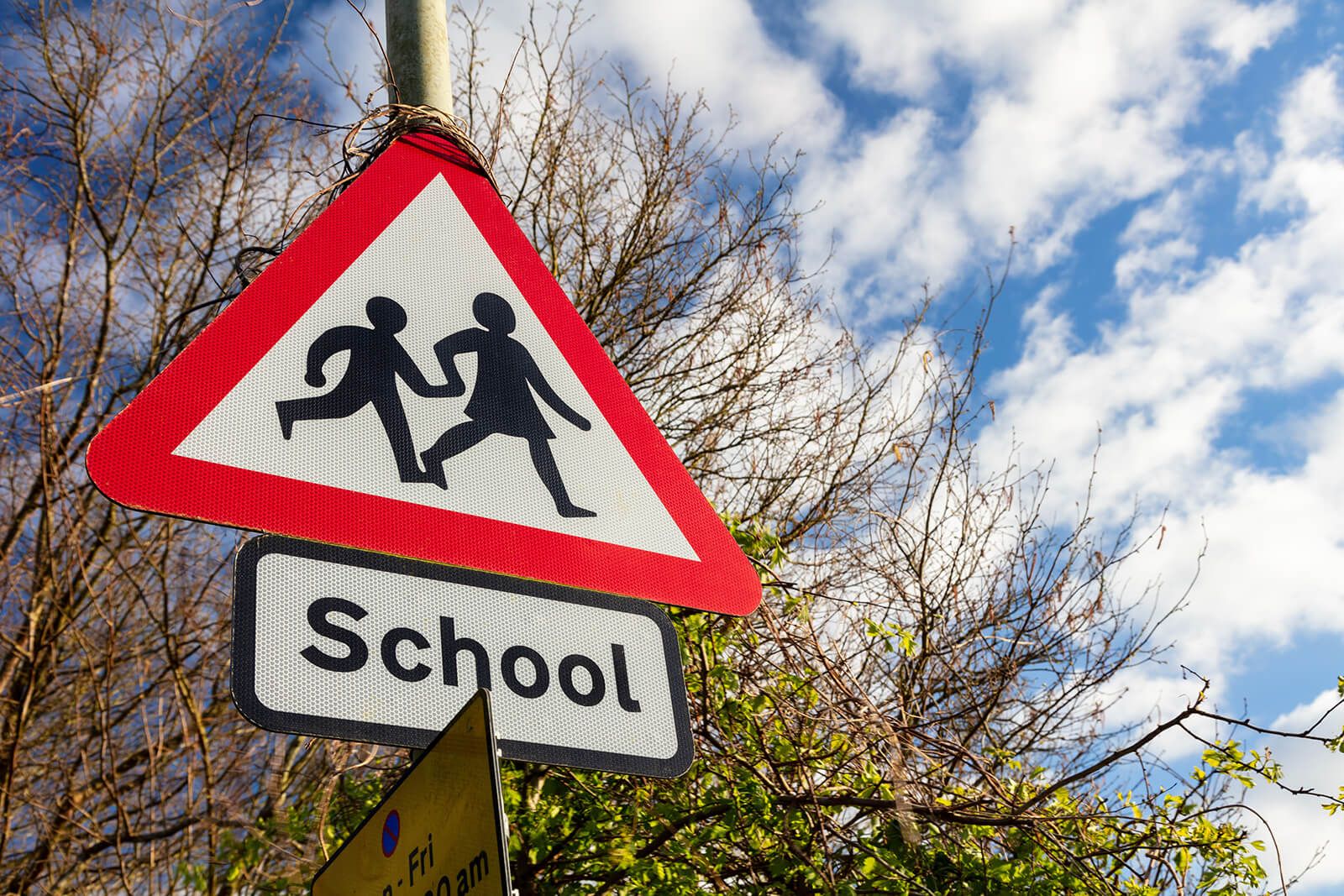 Education - Sustainability education for schools.jpg Education - Sustainability education for schools.jpg