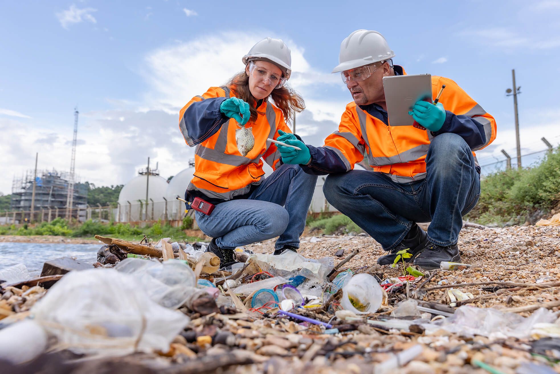 Environmental Consultancy