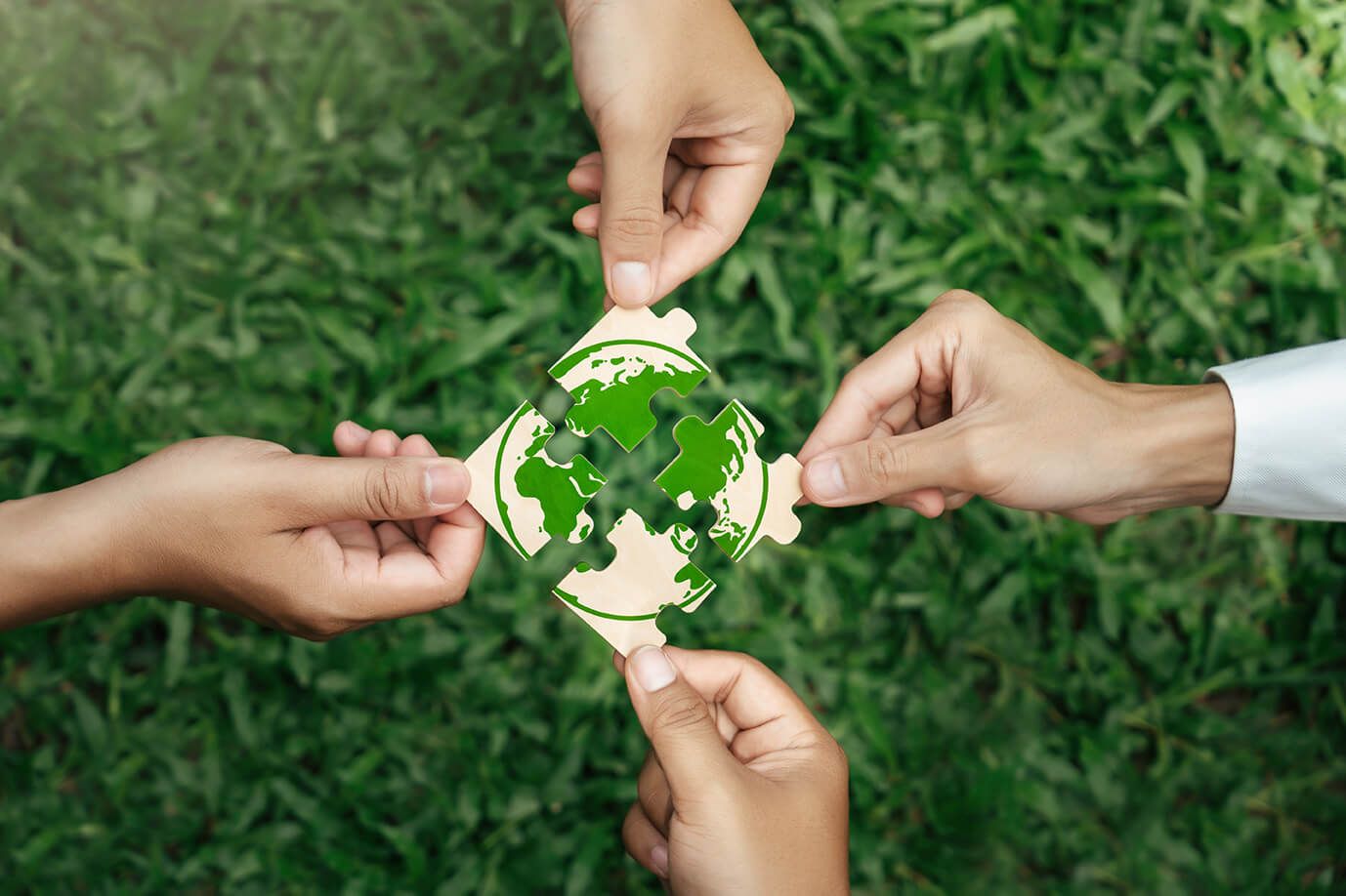 Green Partnerships.jpg Green Partnerships.jpg