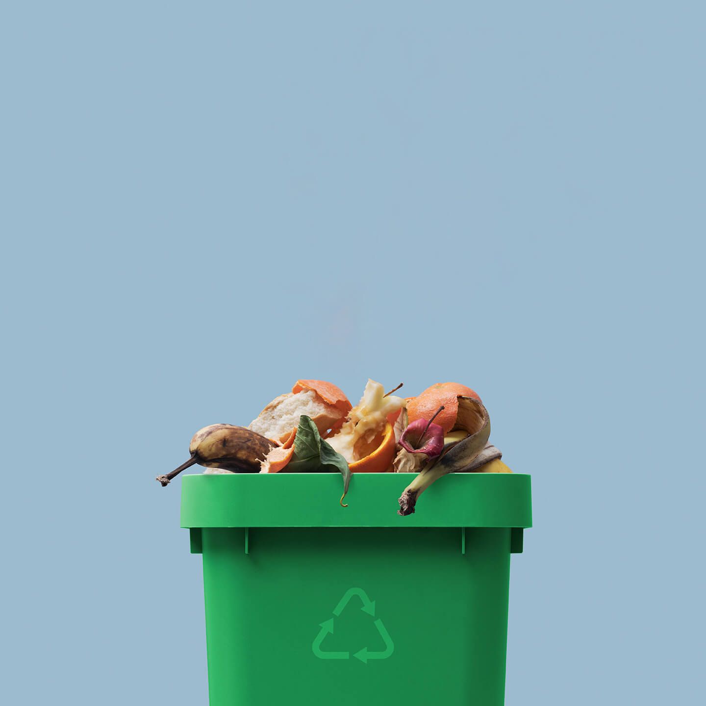 Food Waste
